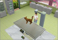 Pet Vet 3D: Animal Hospital