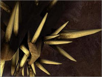 Myst Uru: The Path Of The Shell