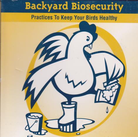 Backyard Biosecurity: Practices To Keep Your Birds Healthy