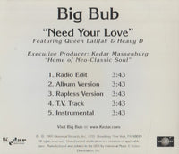 Big Bub: Need Your Love Promo w/ Artwork