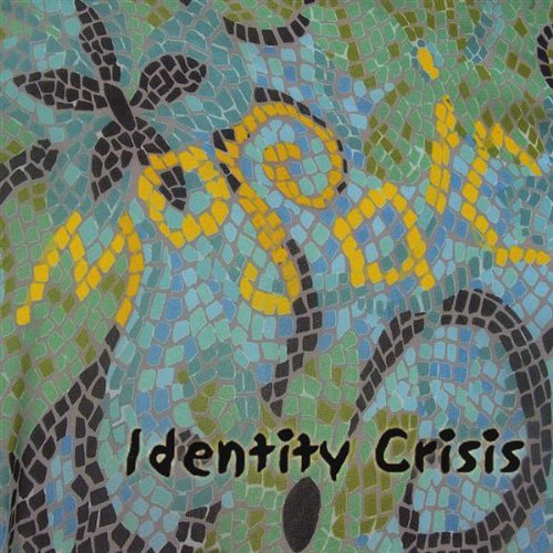 Identity Crisis: Mosaic w/ Artwork