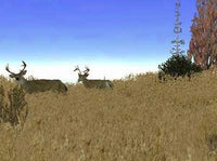 Deer Hunt Challenge w/ Manual