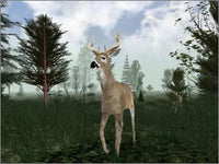Cabela's Ultimate Deer Hunt 2