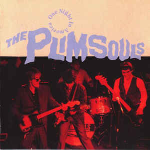 The Plimsouls: One Night In America w/ Artwork