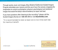 Guided Imagery Program For Easing Pain