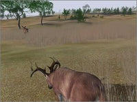 Deer Hunter  2004