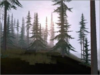 Deer Hunter  2004
