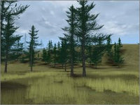 Deer Hunter  2004