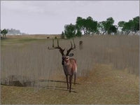 Deer Hunter  2004