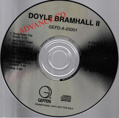 Doyle Bramhall II: Doyle Bramhall II Advance Promo