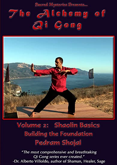 The Alchemy Of Qi Gong: Shaolin Basics: Building The Foundation Volume 2