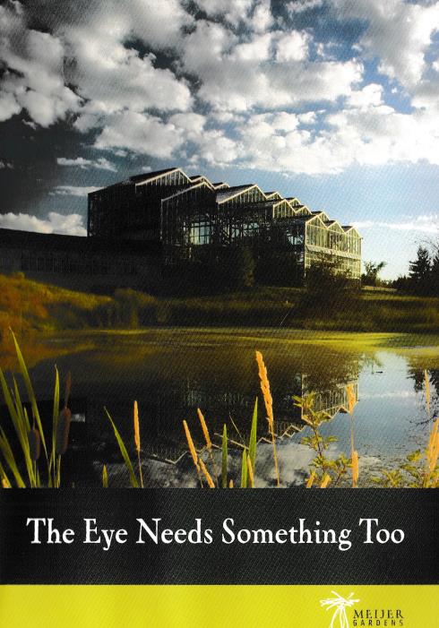 The Eye Something Too