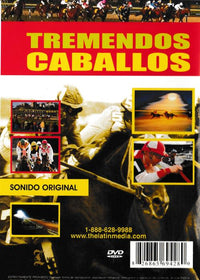 Tremendos Caballos De Zacatecas