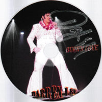 Burn'n Love: A Musical Tribute Starring Darren Lee Autographed w/ Artwork