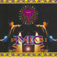 Panjabi MC: Bhangradelic Japan