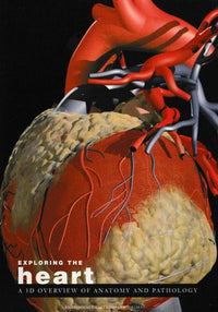 Exploring The Heart: A 3D Overview Of Anatomy & Pathology