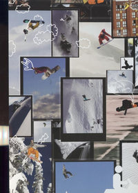 Burton Guy In The Sky