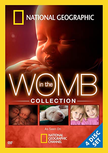 In The Womb Collection 4-Disc Set