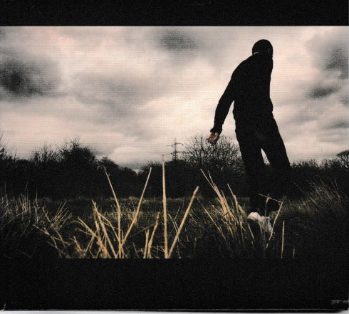 Brett Anderson: Wilderness Japan Import w/ Artwork