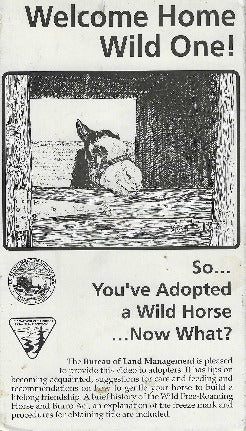 Welcome Home Wild One!