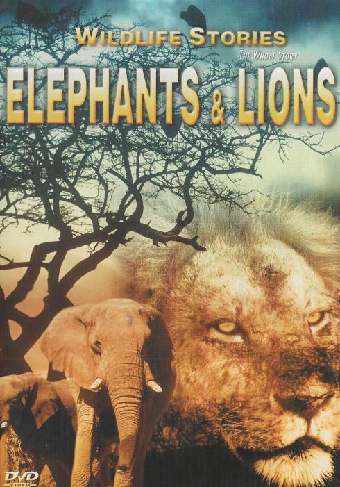 Wildlife Stores: The Whole Story: Elephants & Lions