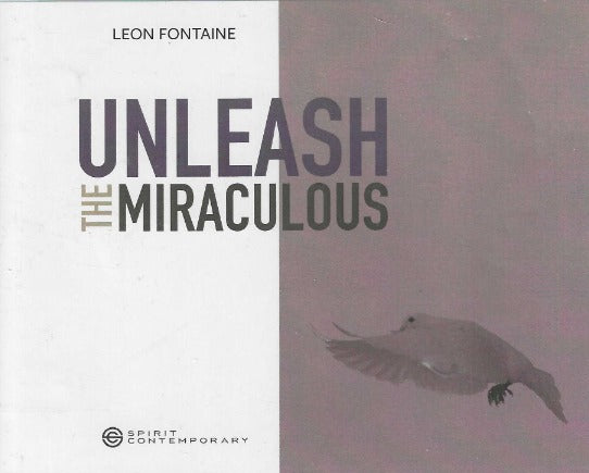 Unleash The Miraculous 3-Disc Set