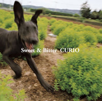 Curio: Sweet & Bitter Japan Import w/ Obi Strip