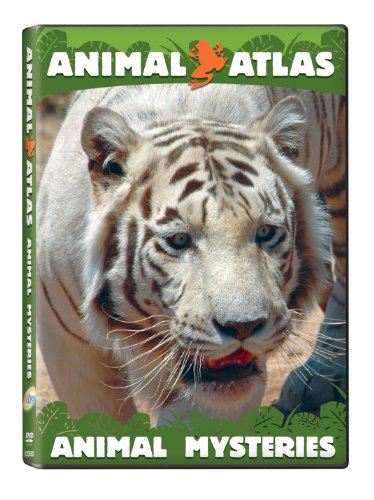 Animal Atlas: Animal Mysteries