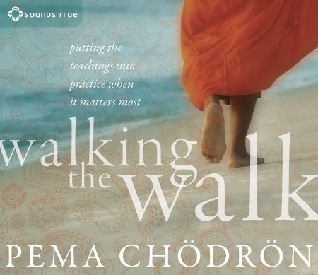 Walking The Walk: Putting The Teachings Into Practice When It Matters Most 4-Disc Set