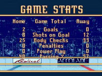 Brett Hull Hockey