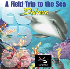 A Field Trip To The Sea Deluxe