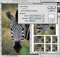 Adobe PhotoShop  5.5