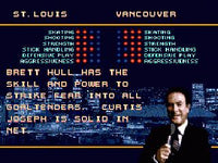 Brett Hull Hockey
